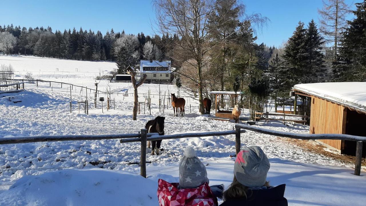 "Sporthuetten Nassau" Ihr Zentrales Domizil An Der Blockline Rechenberg-Bienenmühle Exterior photo